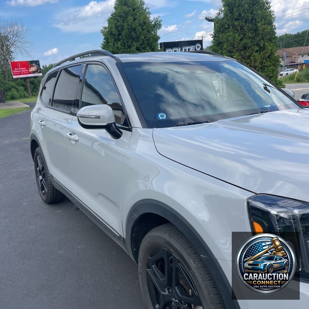 2023 Kia Telluride SX-Prestige X-Line