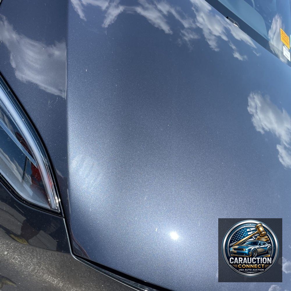 2024 Tesla Model S Long Range