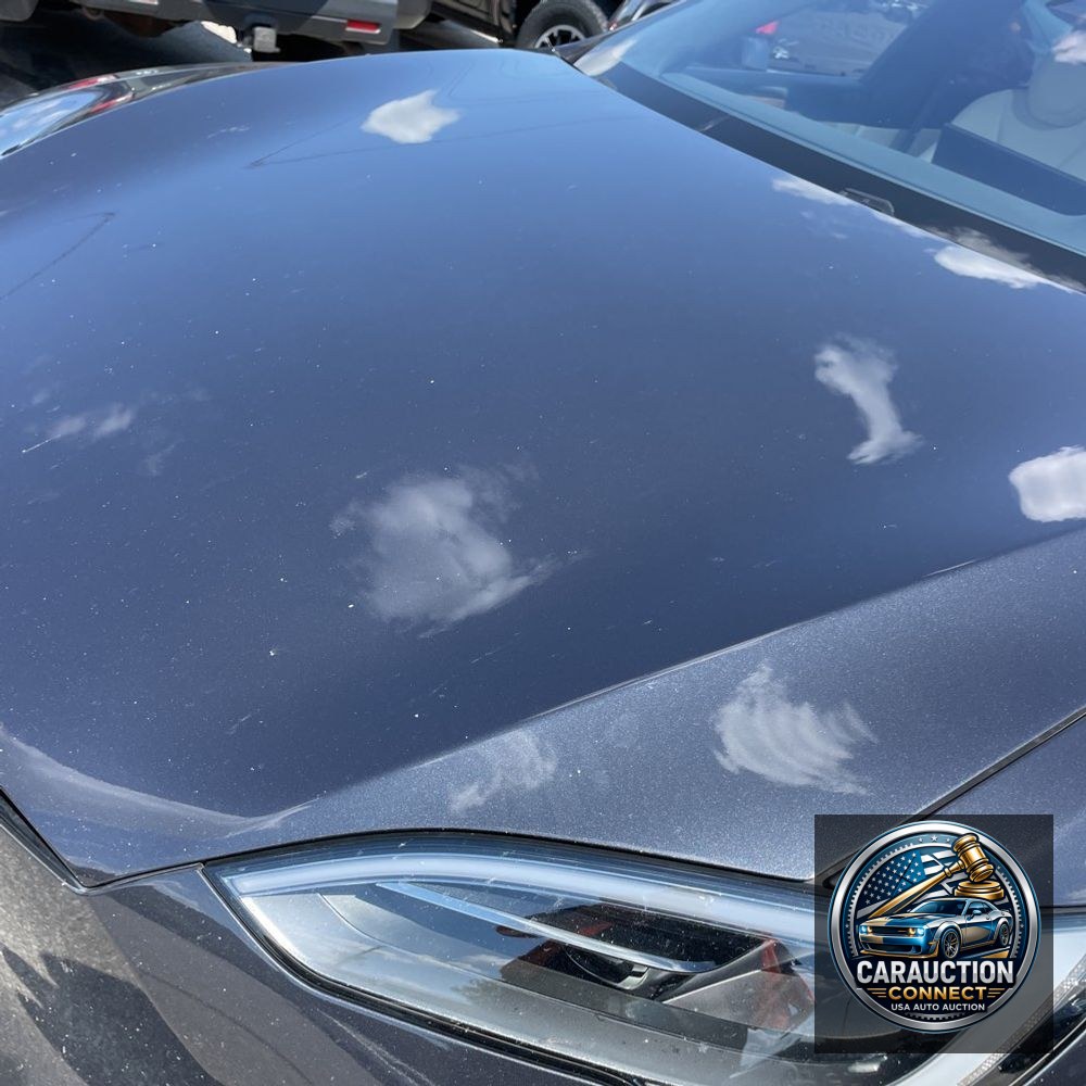 2024 Tesla Model S Long Range