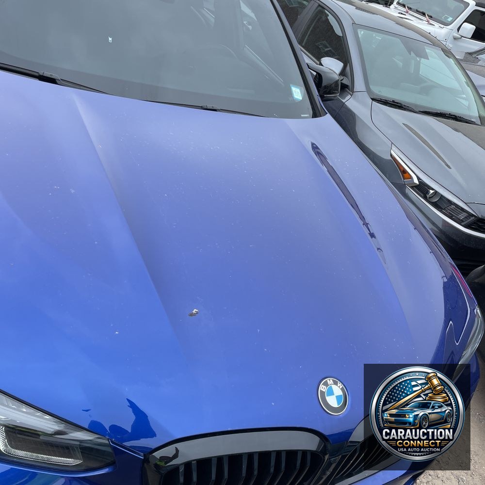 2023 BMW X4 M
