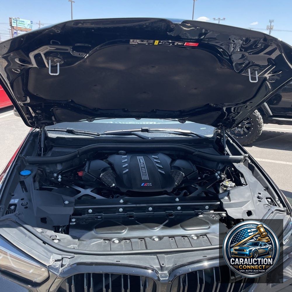 2023 BMW X6 M