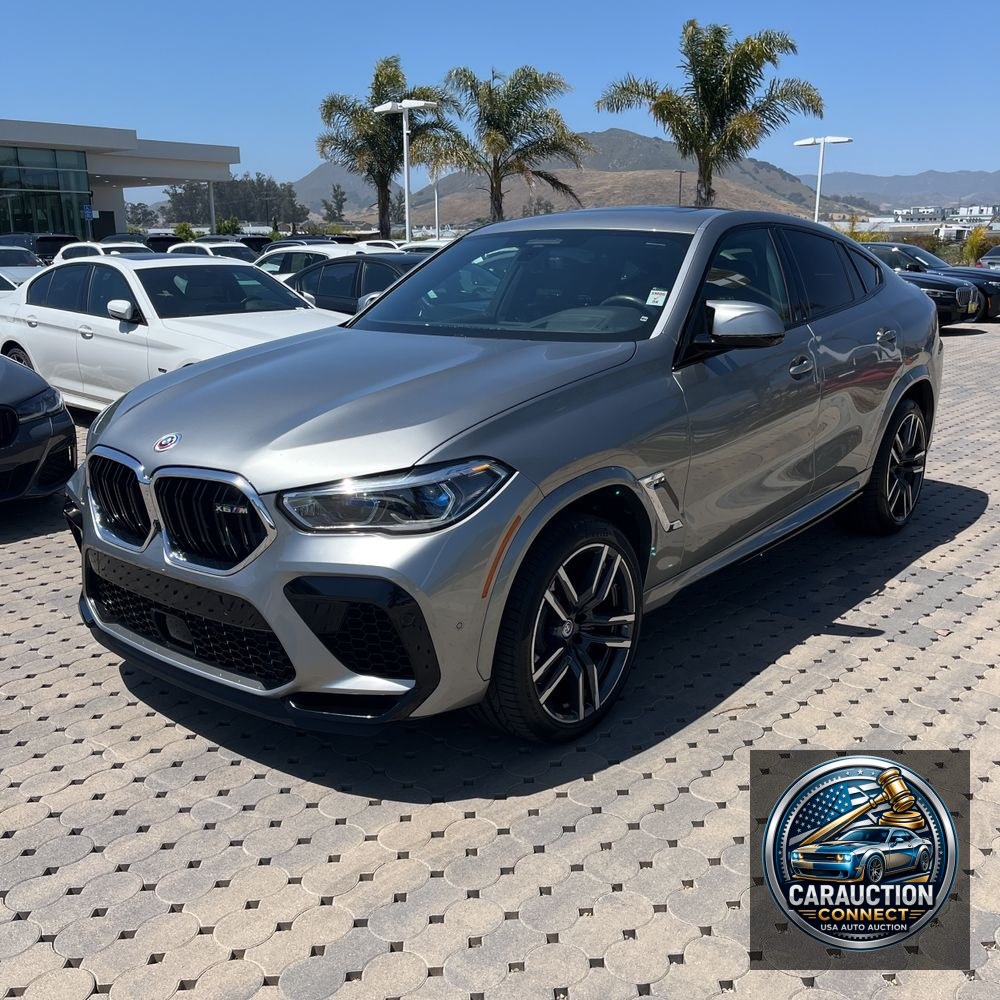 2023 BMW X6 M