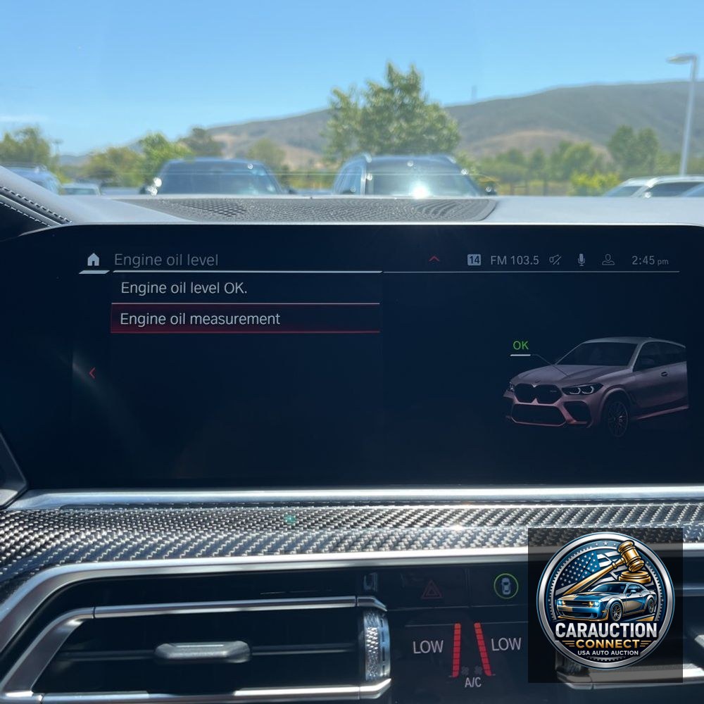 2023 BMW X6 M