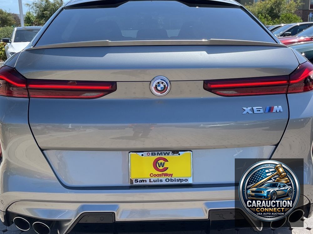 2023 BMW X6 M