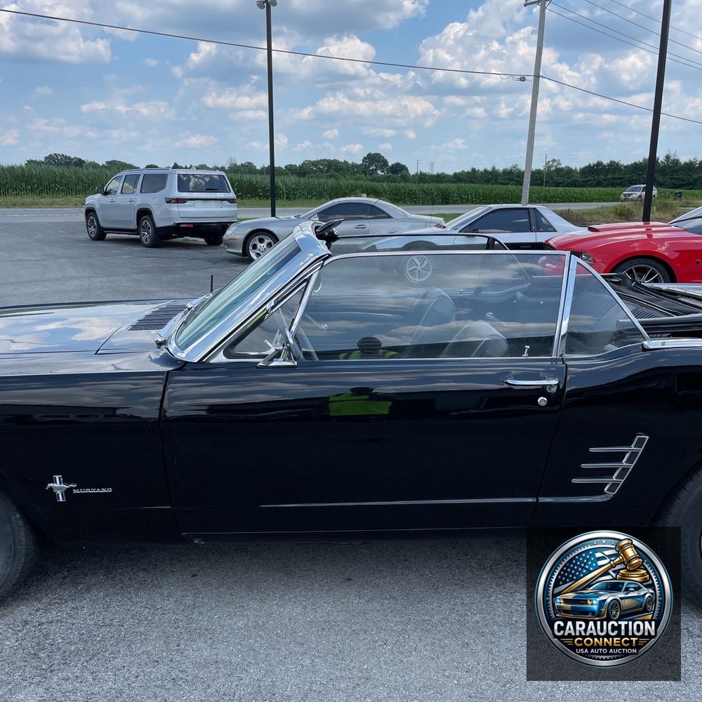 1966 Ford Mustang  1