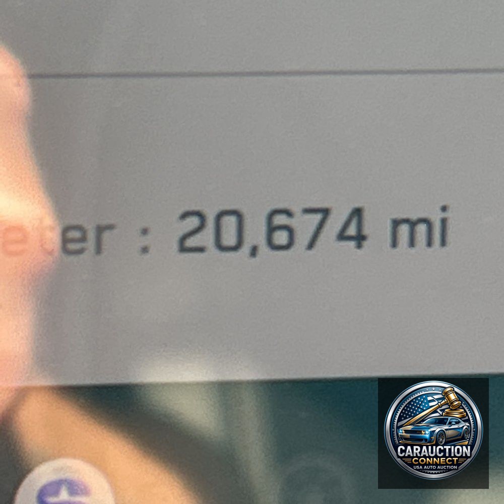 2024 Tesla Cybertruck Base