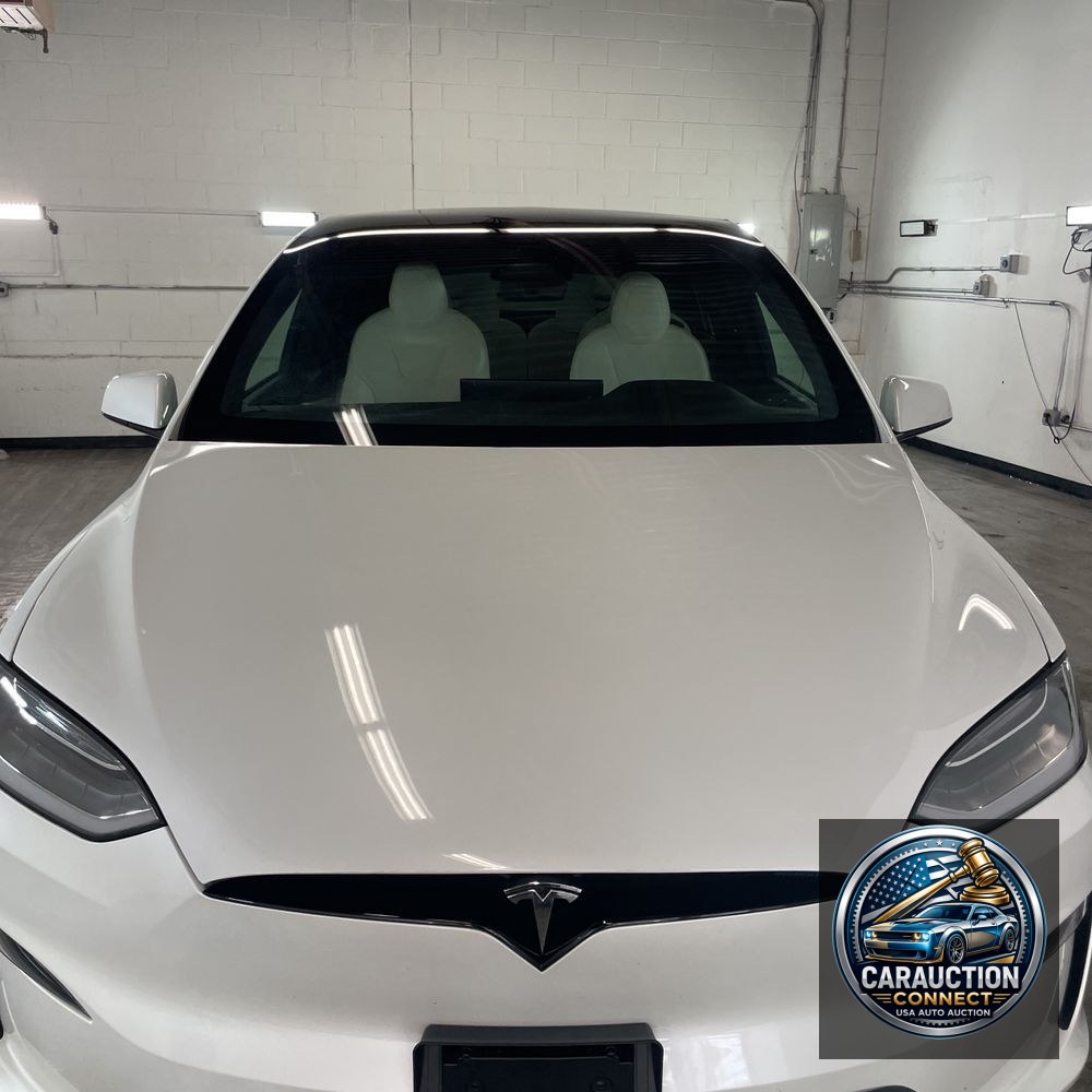 2022 Tesla Model X Standard Range