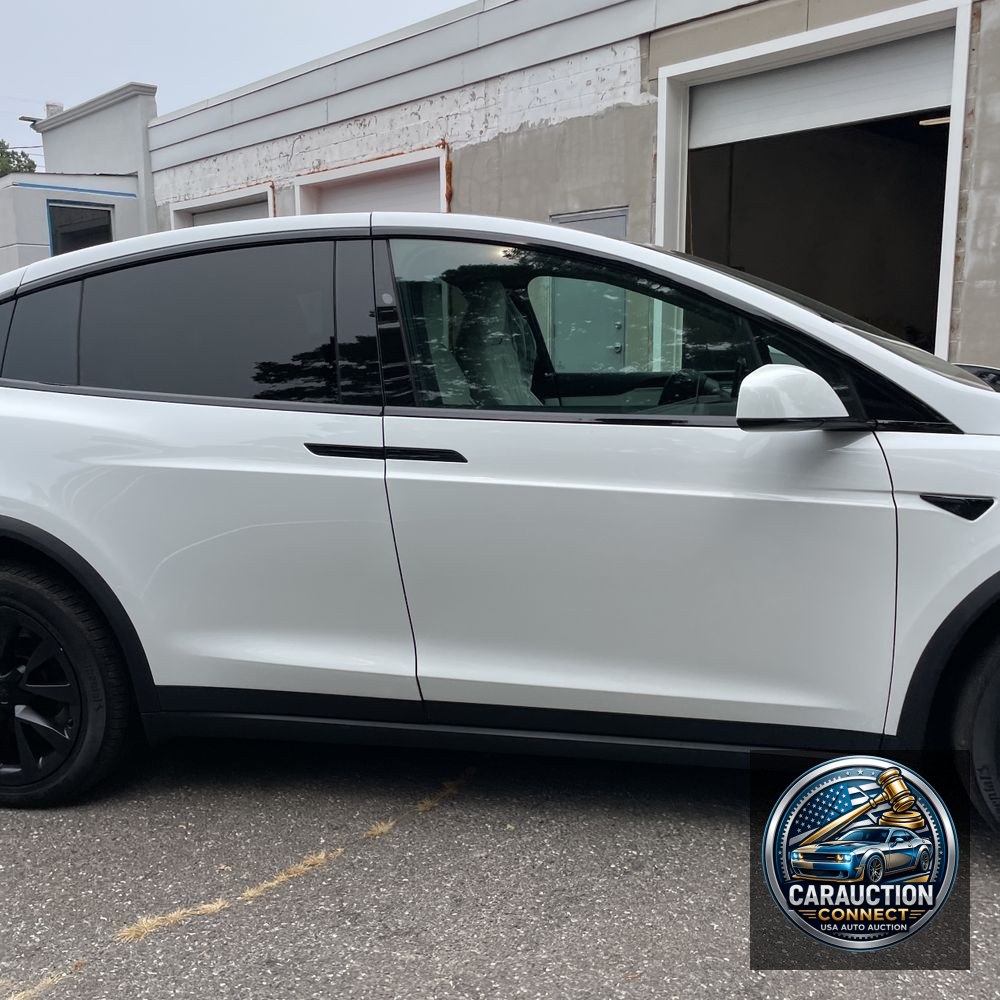 2022 Tesla Model X Plaid