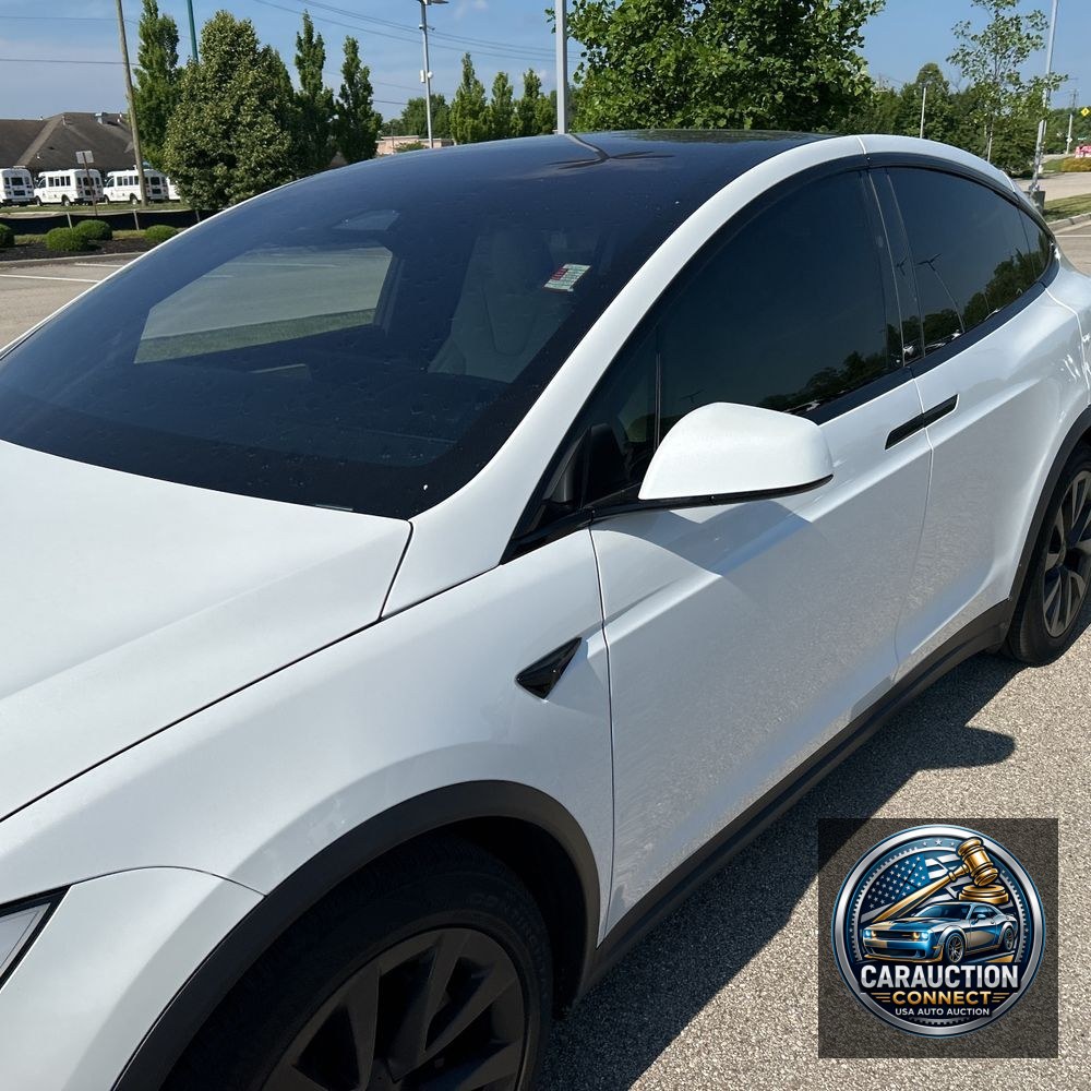 2022 Tesla Model X Standard Range