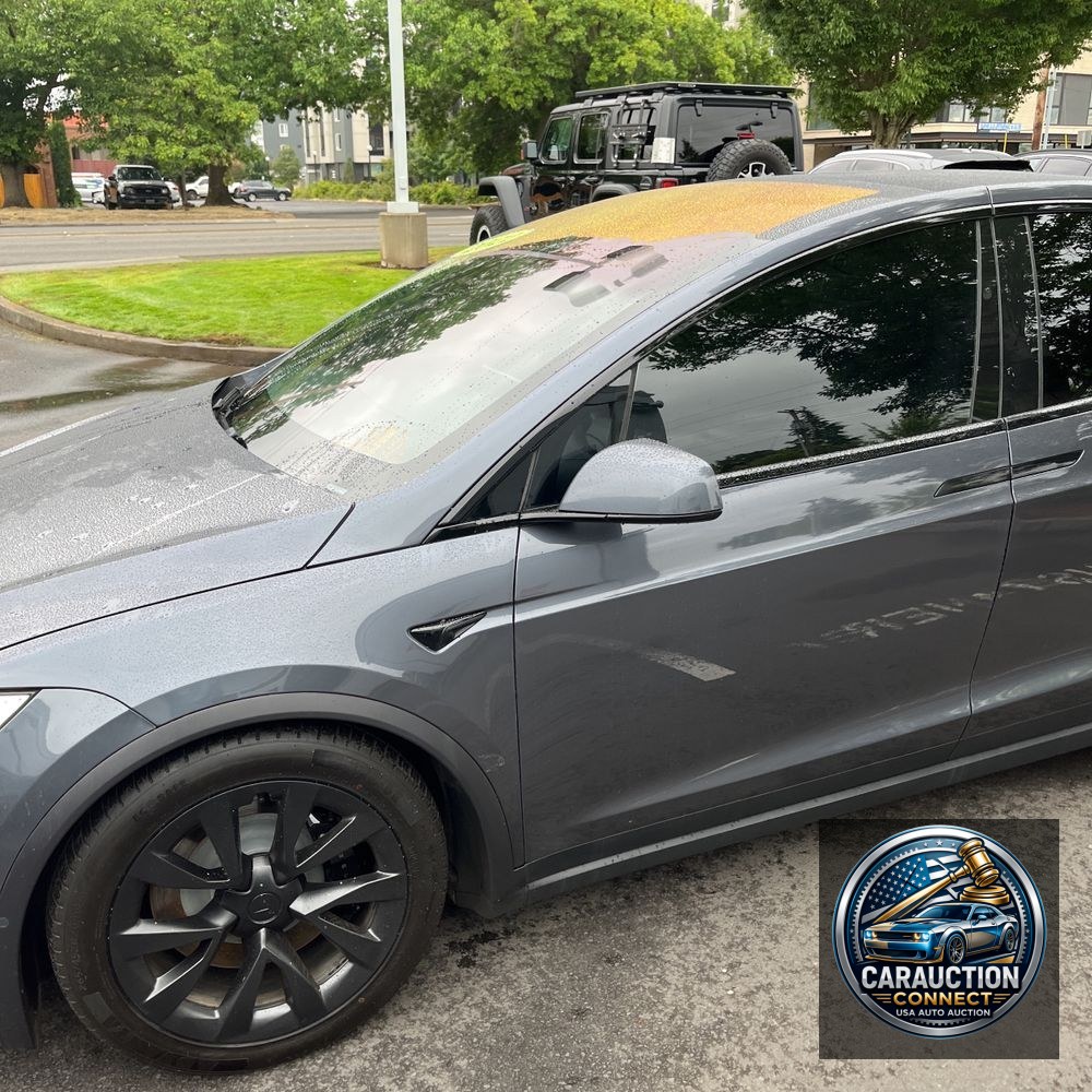 2022 Tesla Model X Standard Range