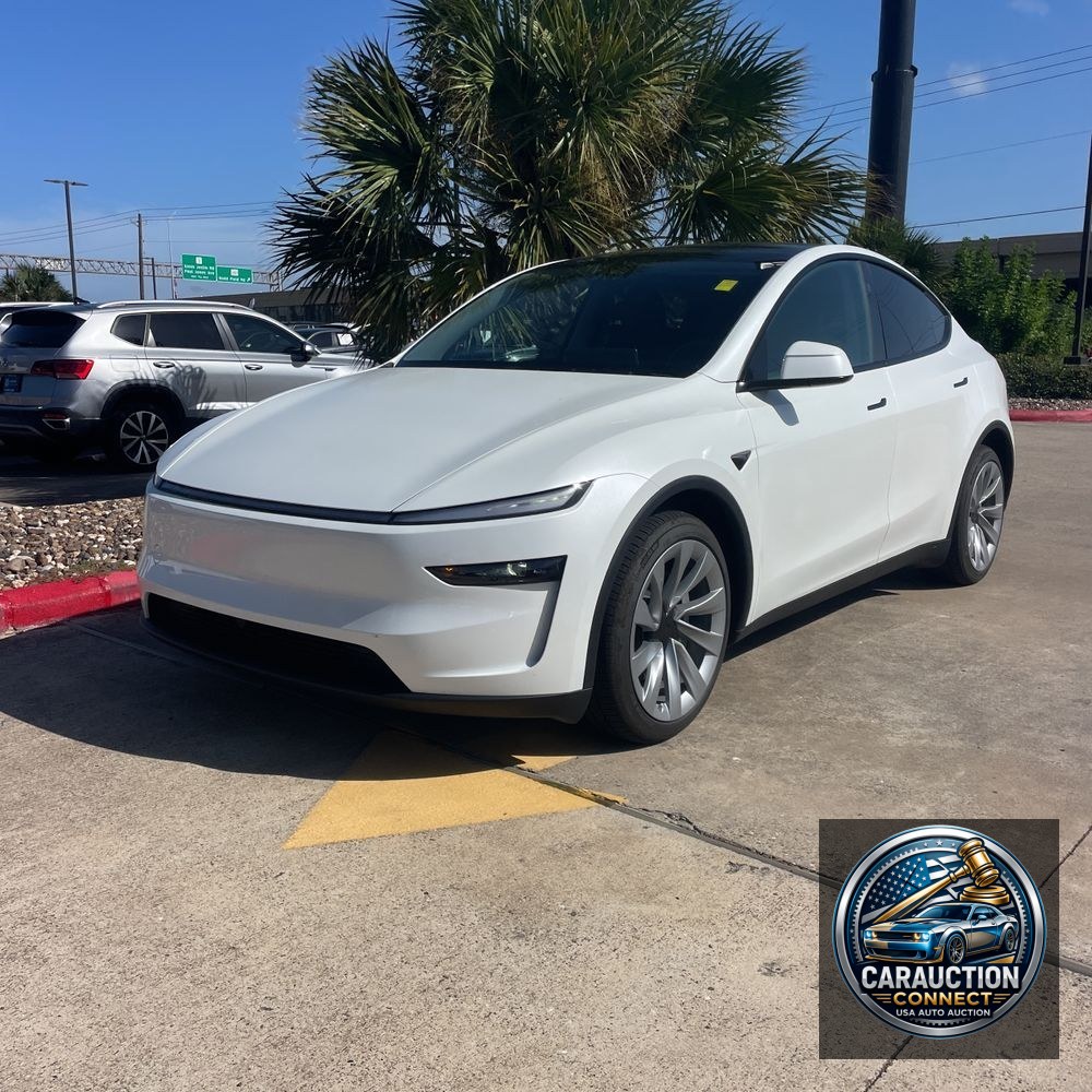 2026 Tesla Model Y Launch Series