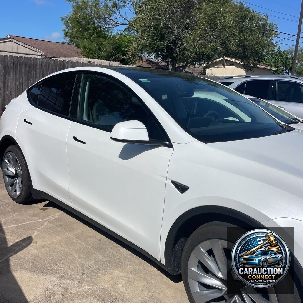 2026 Tesla Model Y Launch Series