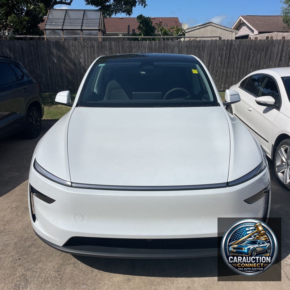 2026 Tesla Model Y Launch Series