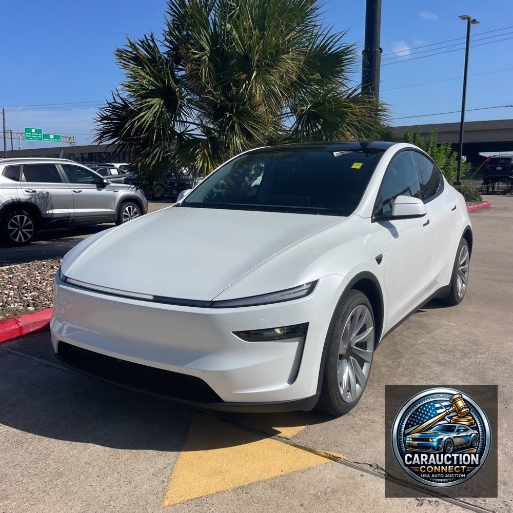 2026 Tesla Model Y Launch Series