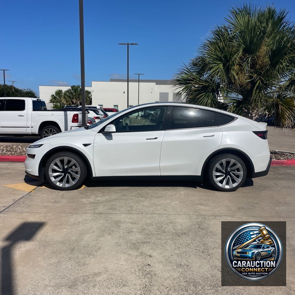 2026 Tesla Model Y Launch Series