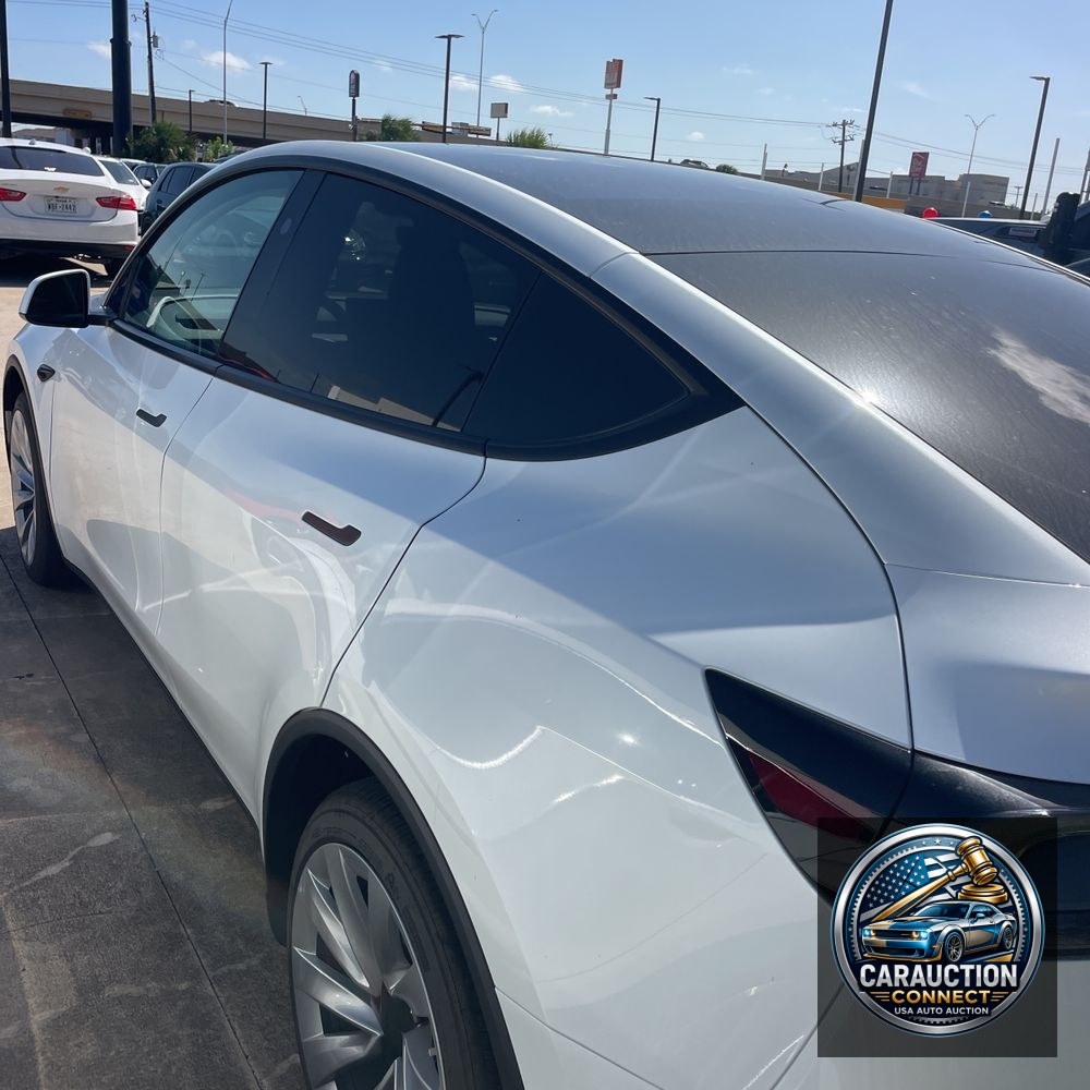 2026 Tesla Model Y Launch Series