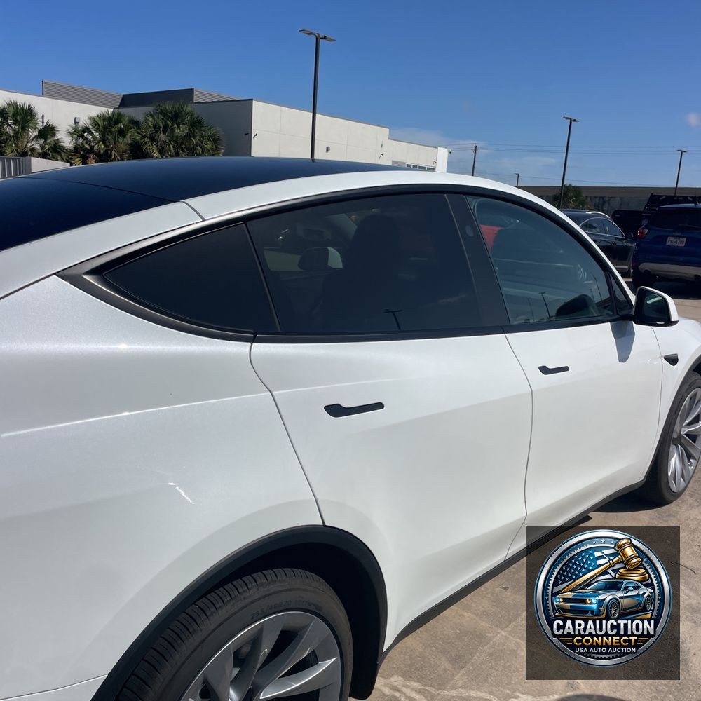 2026 Tesla Model Y Launch Series