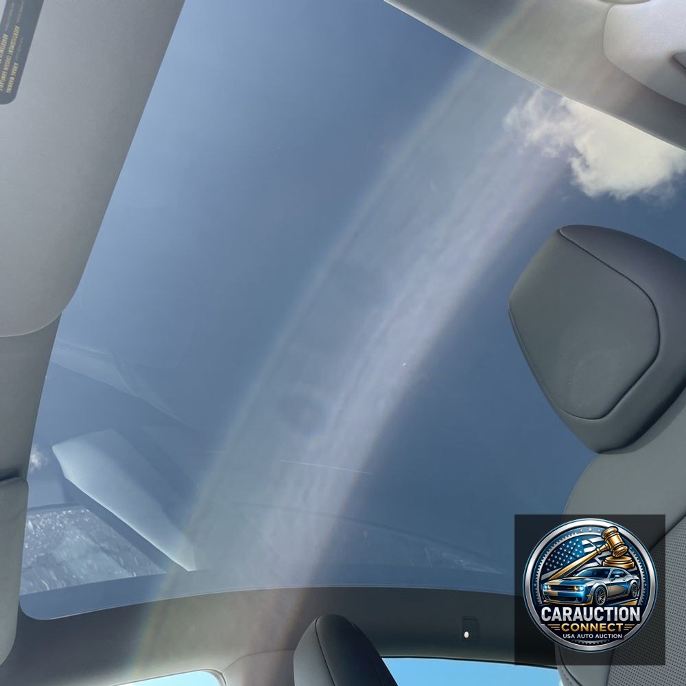2026 Tesla Model Y Long Range