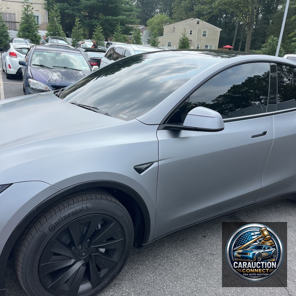 2026 Tesla Model Y Launch Series