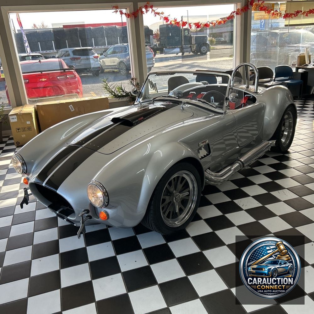 1965 Ford Shelby cobra  2S