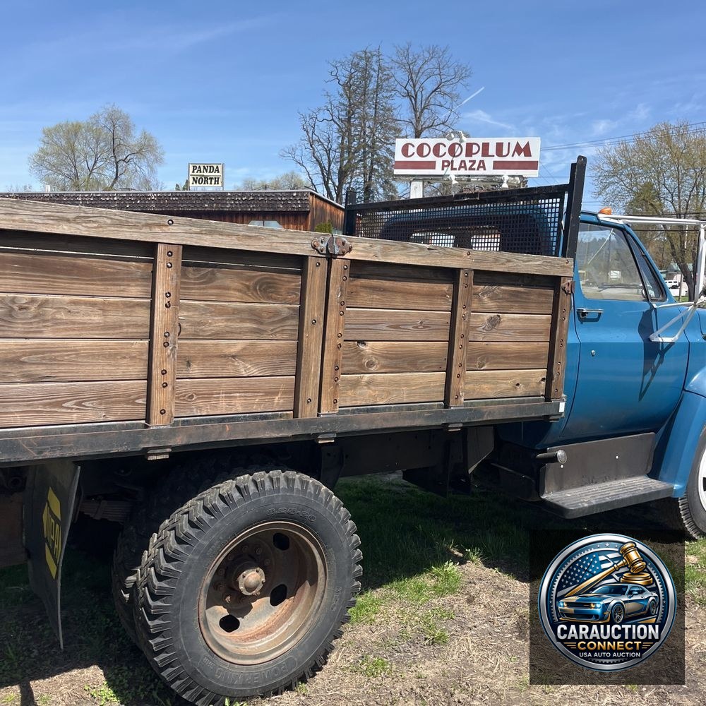 1973 Chevrolet  C50 Custom