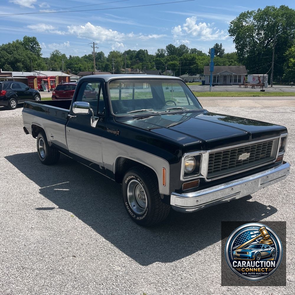 1973 Chevrolet  C10 Cheyenne Super/10