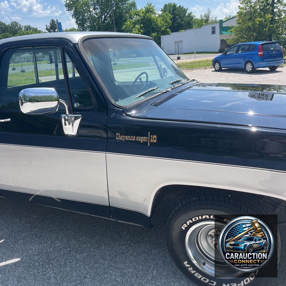 1973 Chevrolet  C10 Cheyenne Super/10