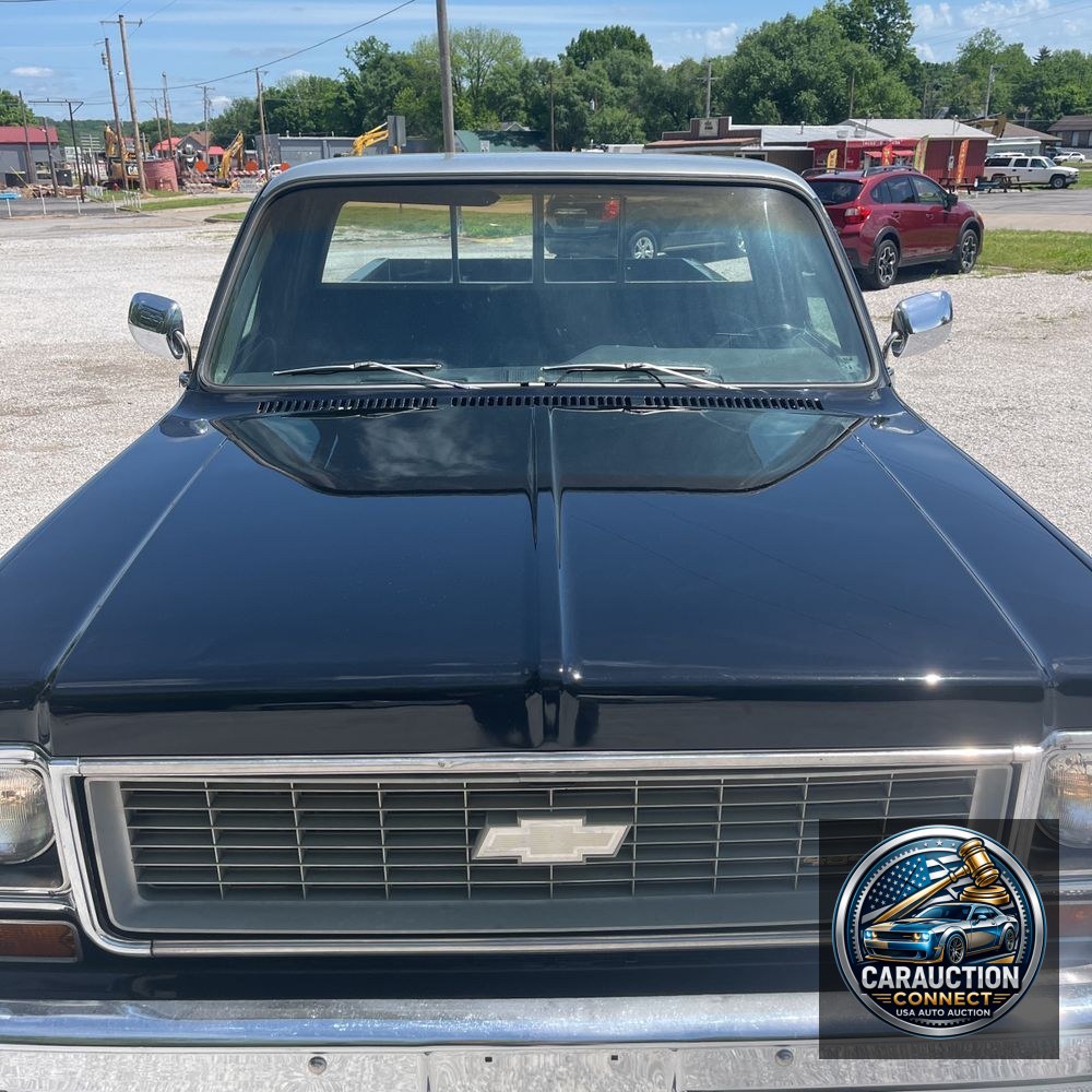 1973 Chevrolet  C10 Cheyenne Super/10