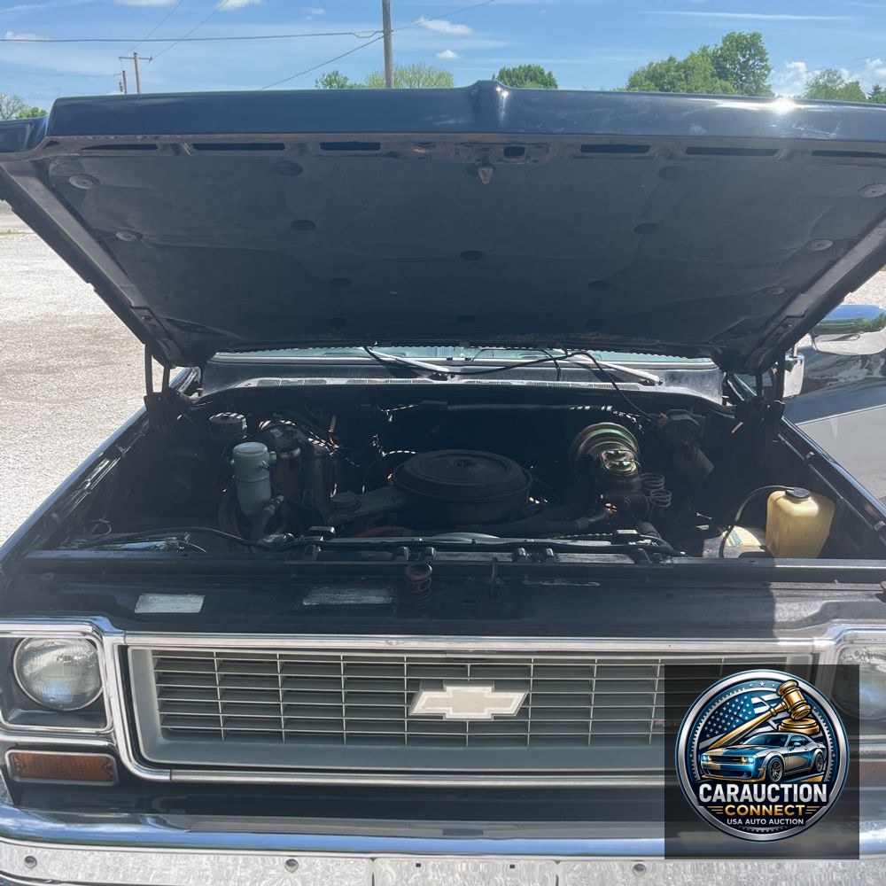 1973 Chevrolet  C10 Cheyenne Super/10