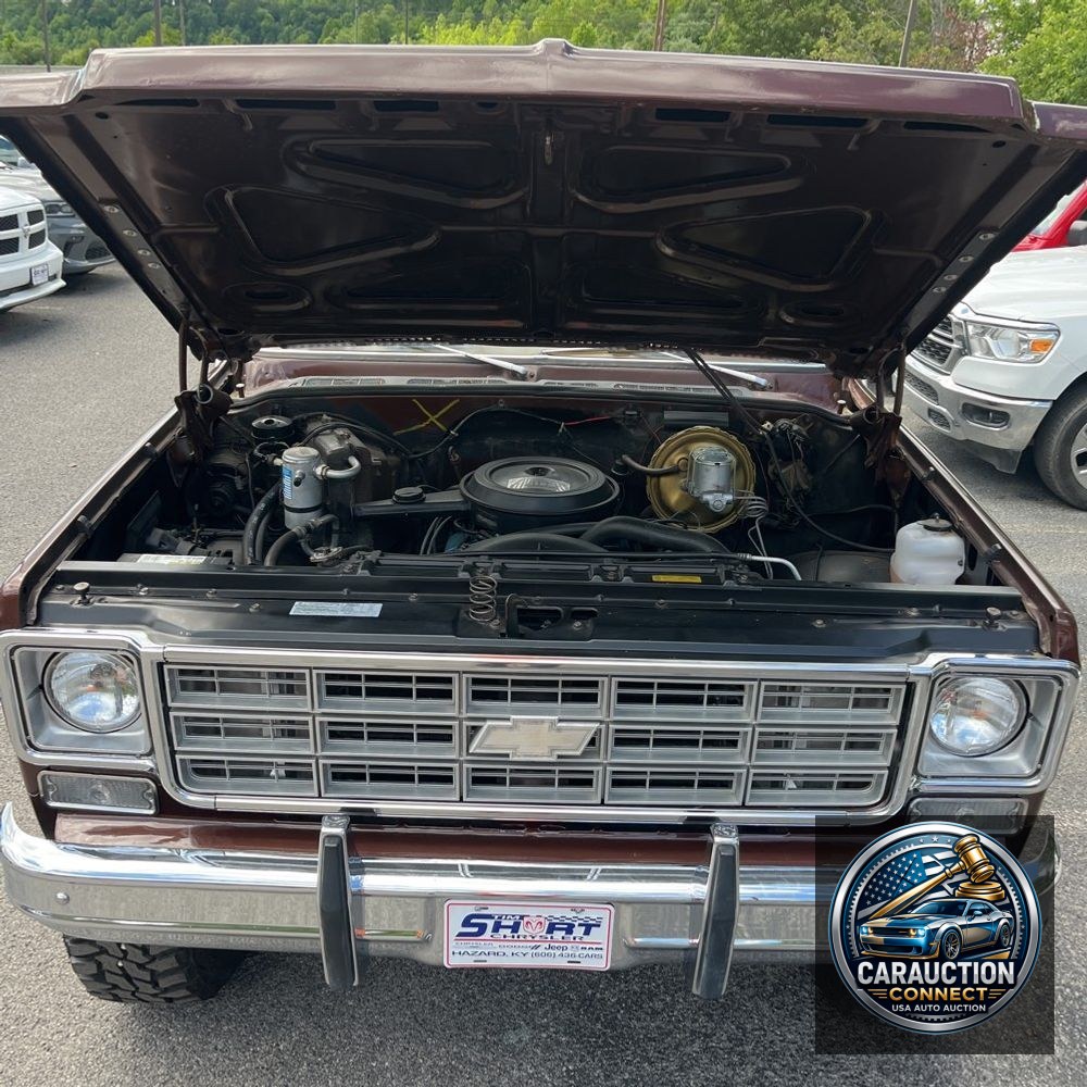 1978 Chevrolet  Cheyenne 20