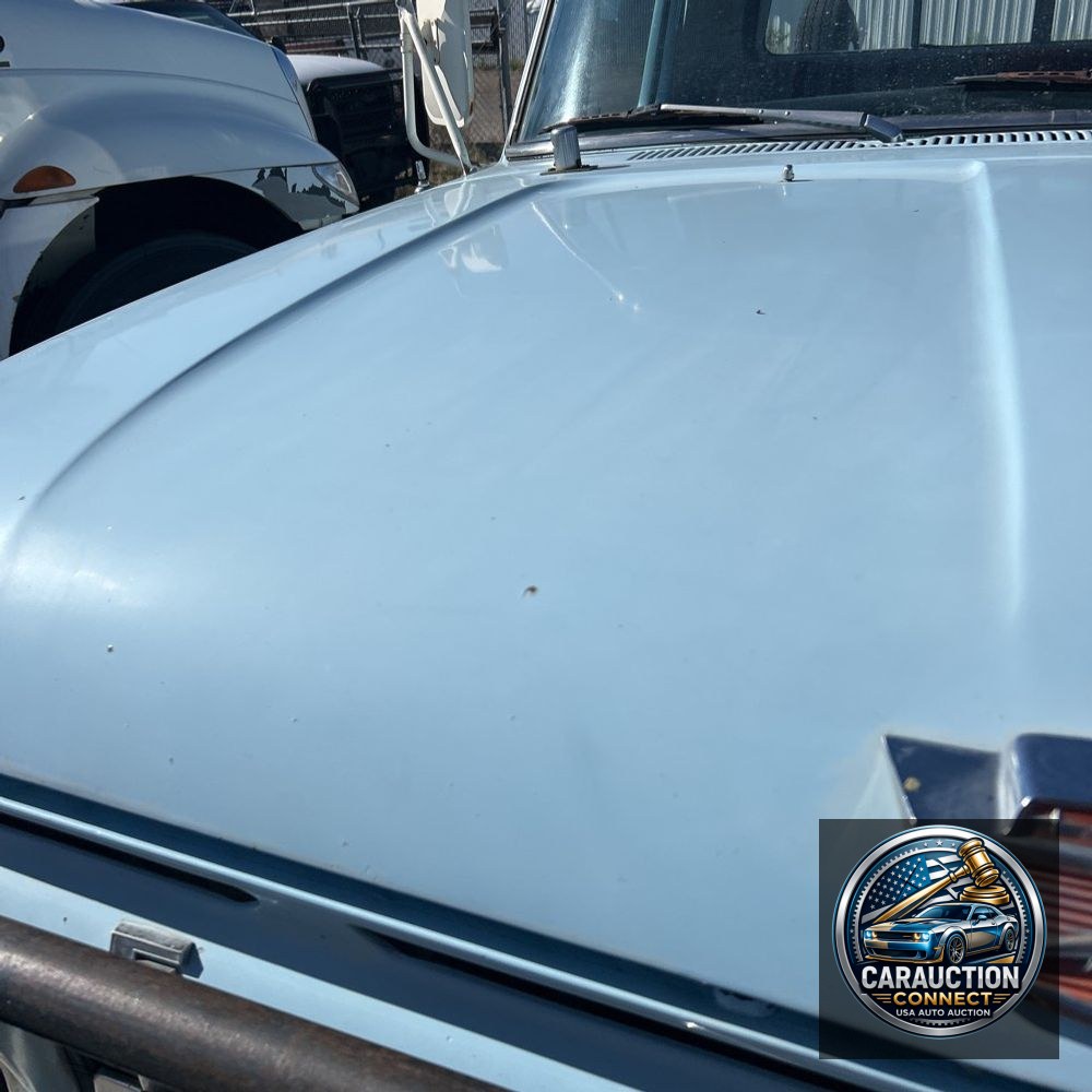 1964 Ford F250 Custom Cab