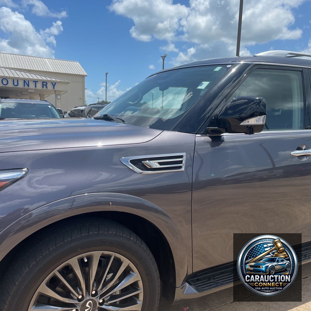 2024 INFINITI QX80 Luxe