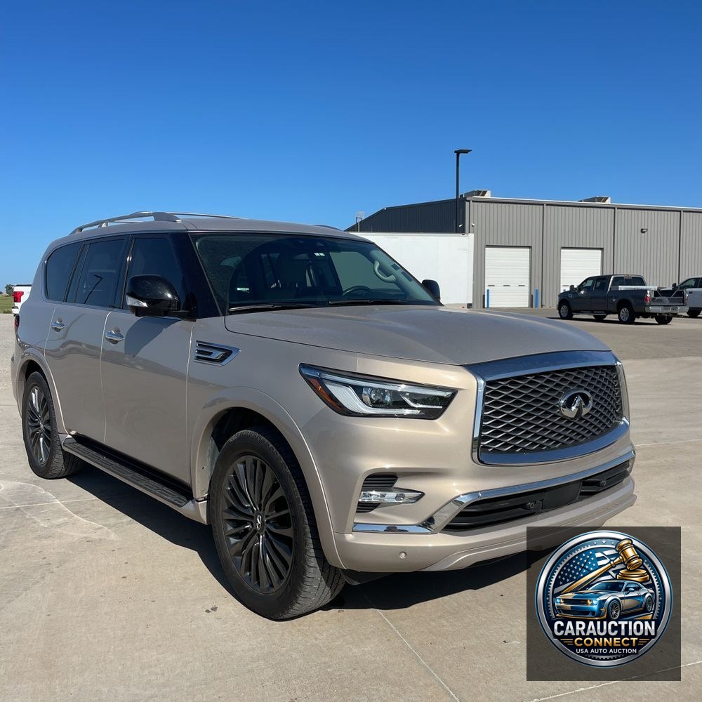 2023 INFINITI QX80 Luxe