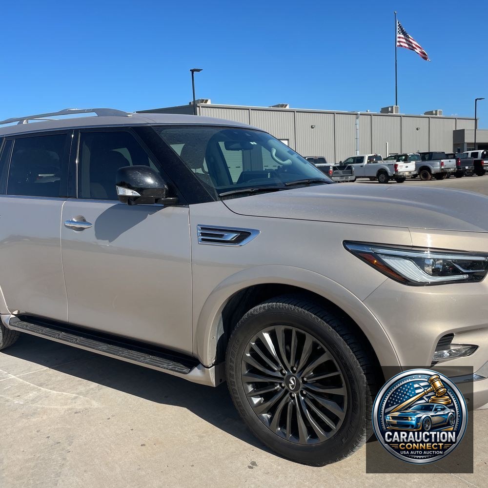 2023 INFINITI QX80 Luxe