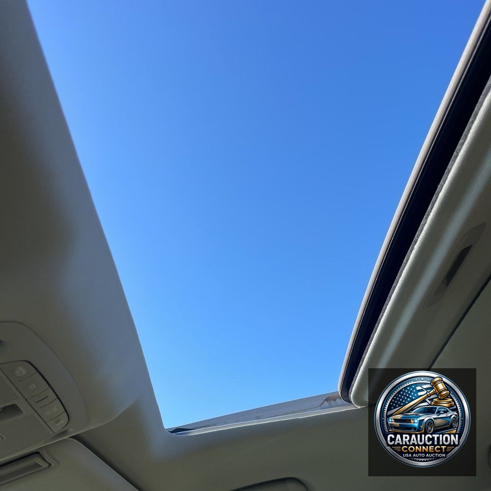 2023 INFINITI QX80 Luxe