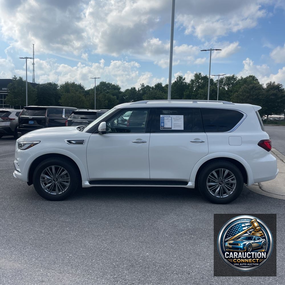 2024 INFINITI QX80 Luxe