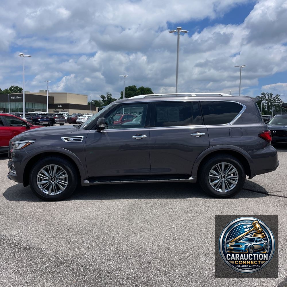 2024 INFINITI QX80 Luxe