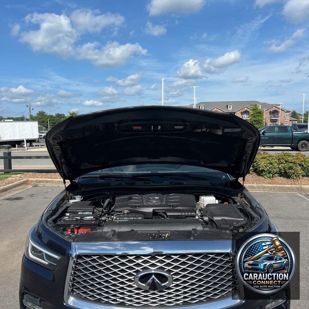 2024 INFINITI QX80 Luxe