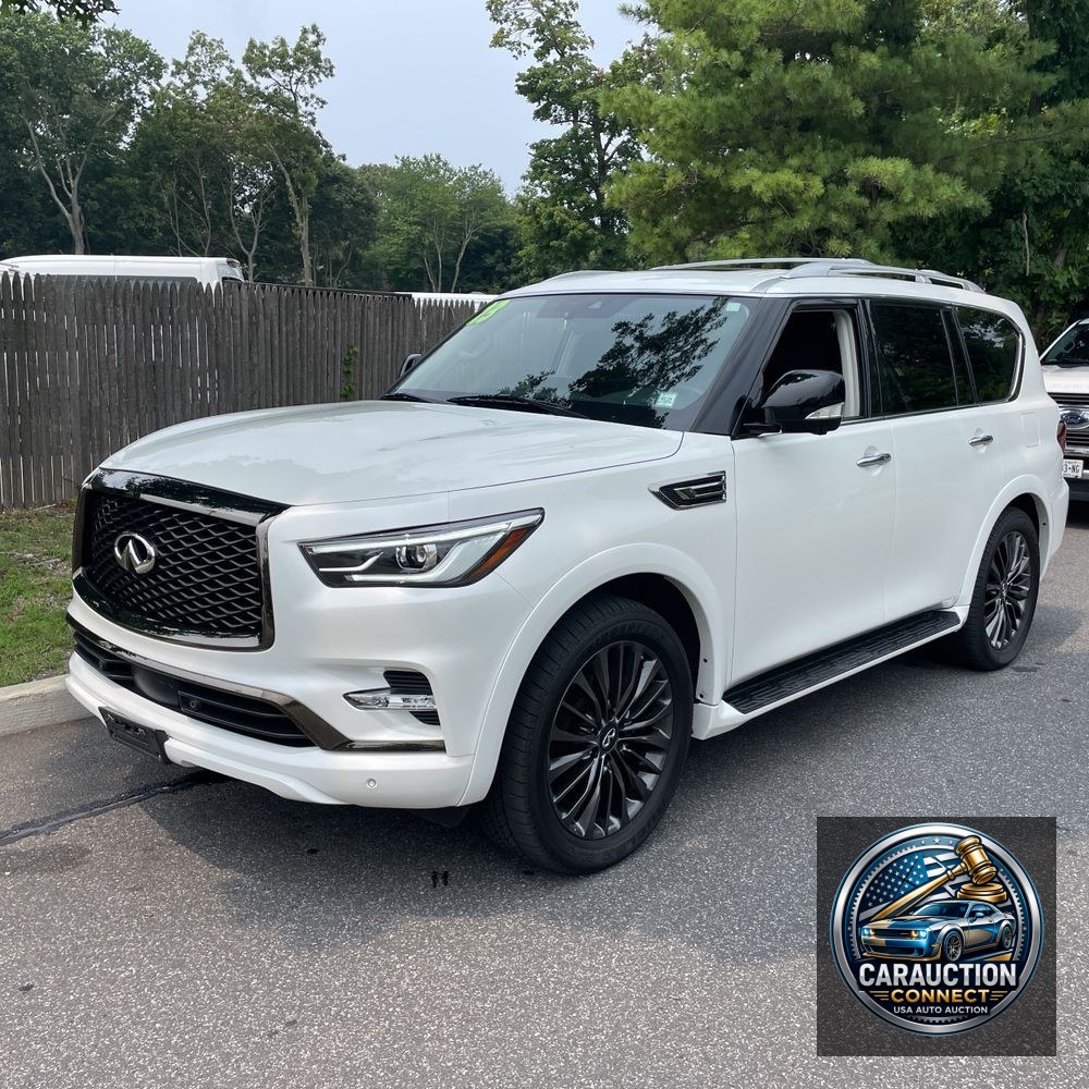 2023 INFINITI QX80 Luxe