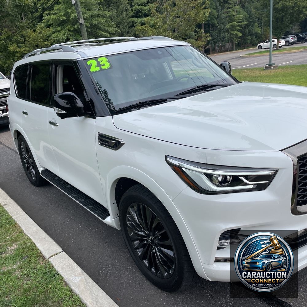 2023 INFINITI QX80 Luxe