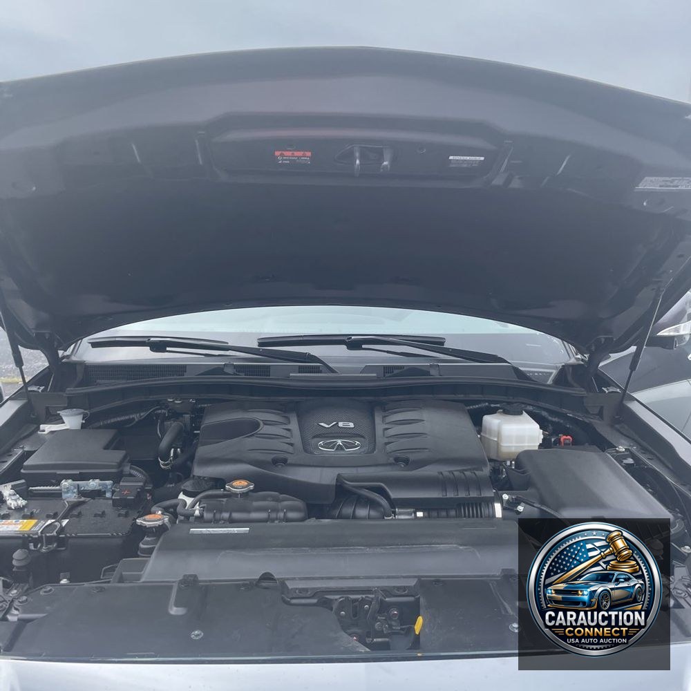 2024 INFINITI QX80 Luxe