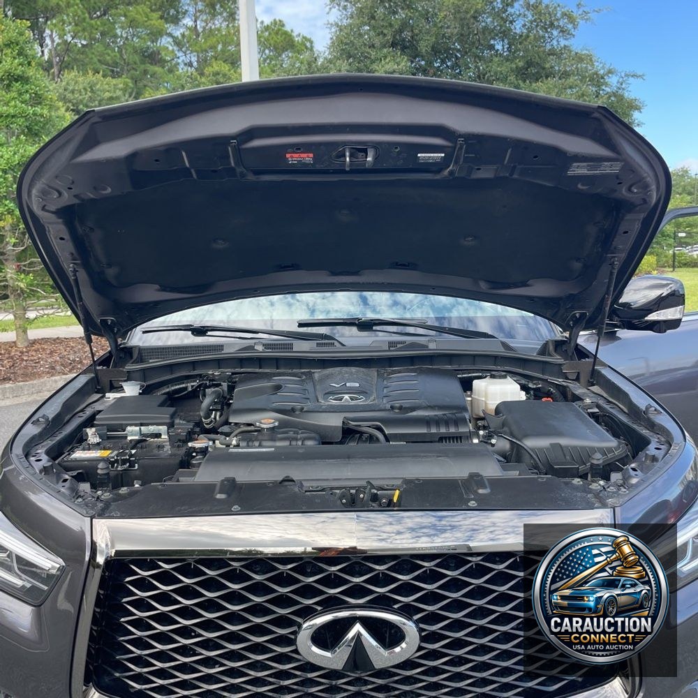 2023 INFINITI QX80 Luxe