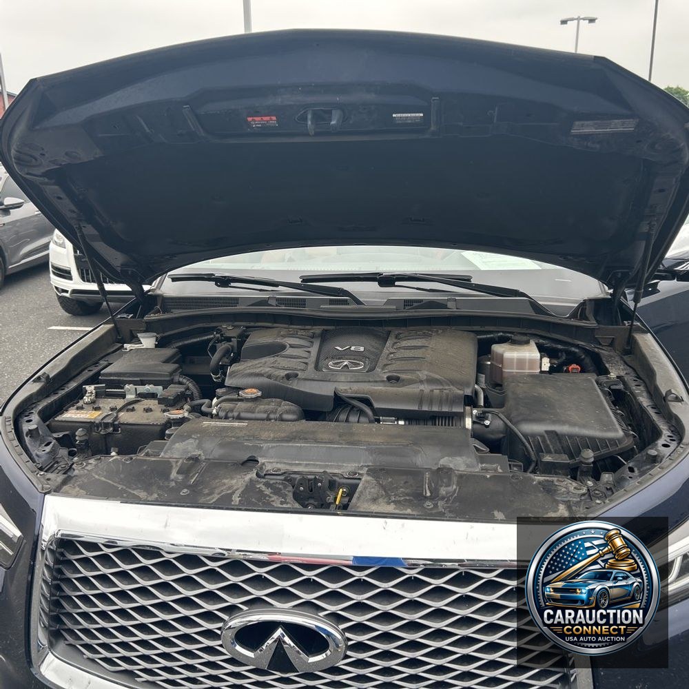 2022 INFINITI QX80 Sensory