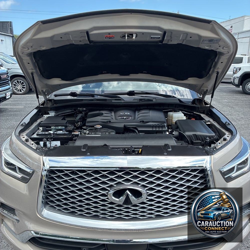 2023 INFINITI QX80 Sensory
