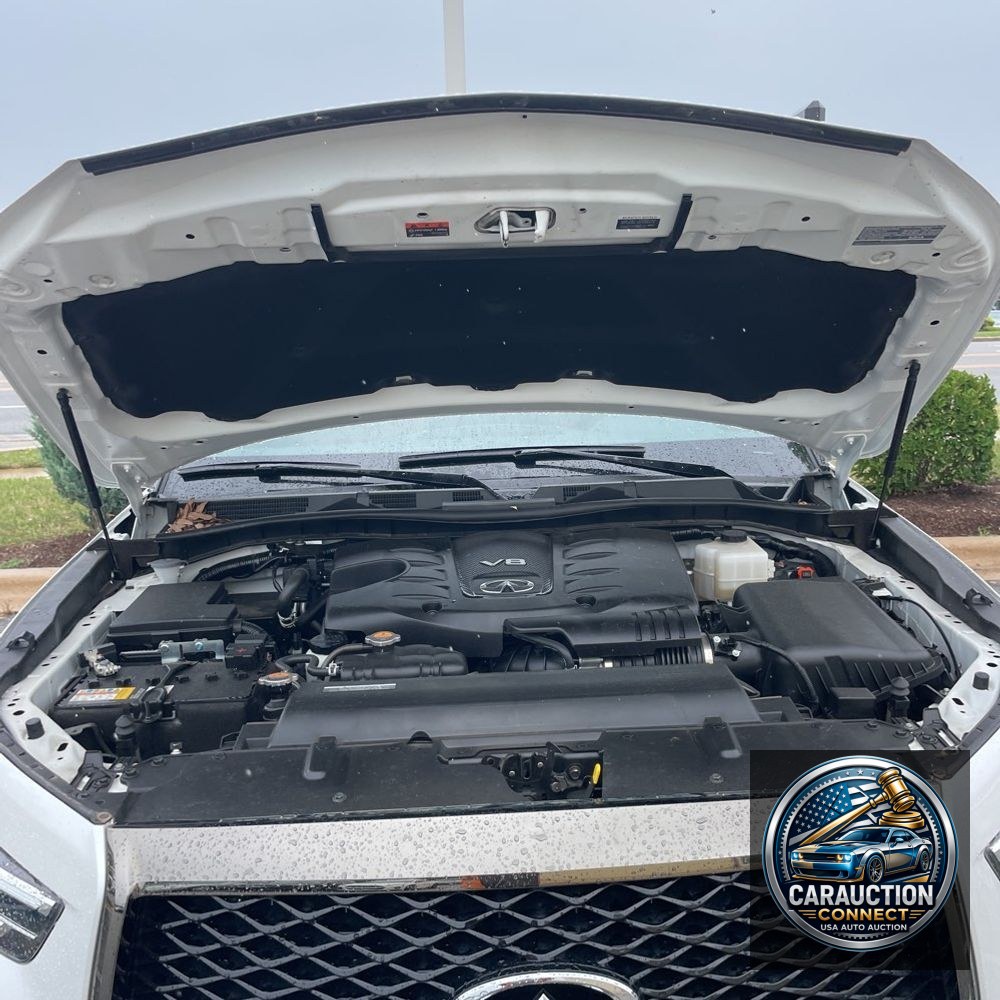2024 INFINITI QX80 Premium Select