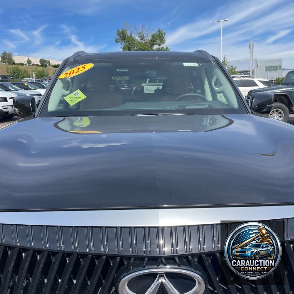 2025 INFINITI QX80 Sensory