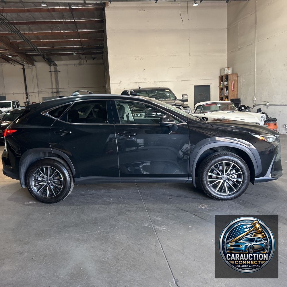 2024 Lexus NX 350h Base
