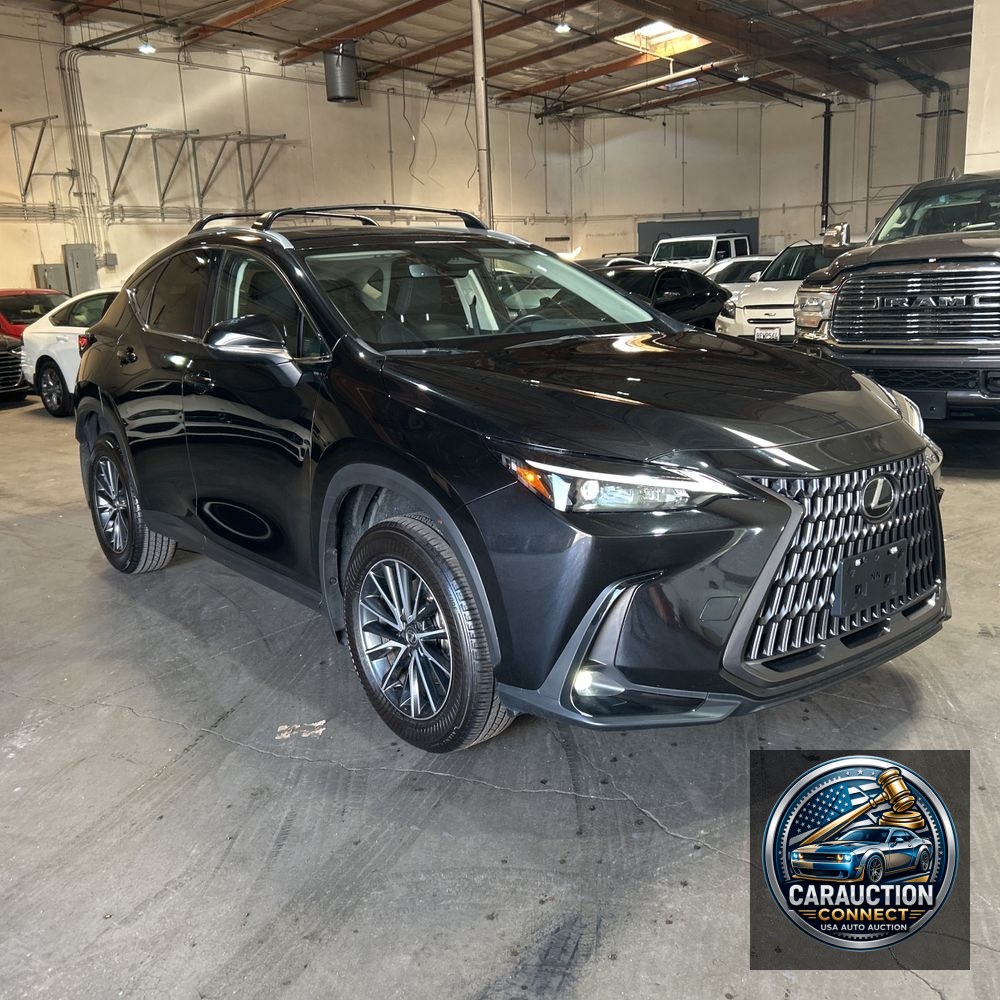 2024 Lexus NX 350h Base