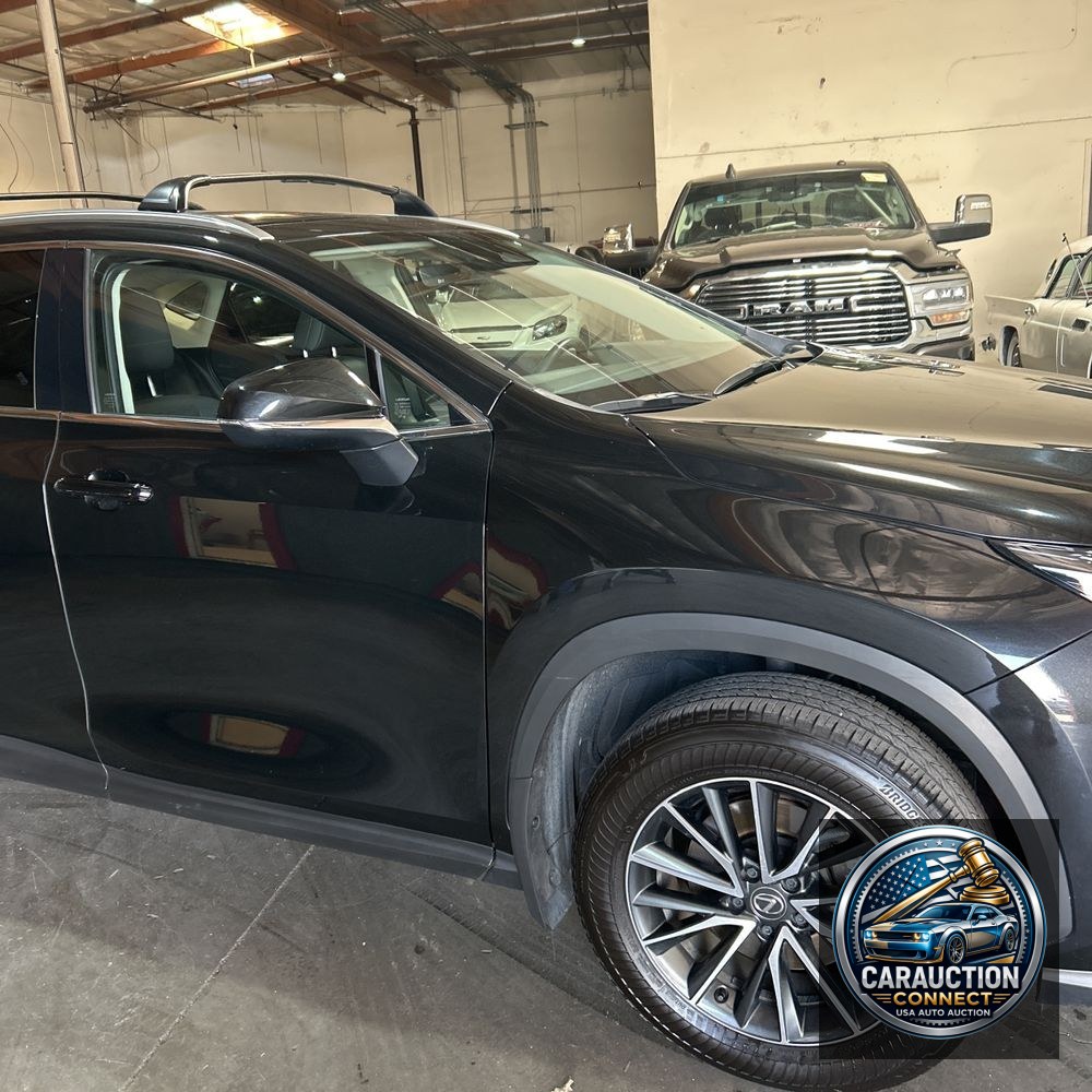 2024 Lexus NX 350h Base