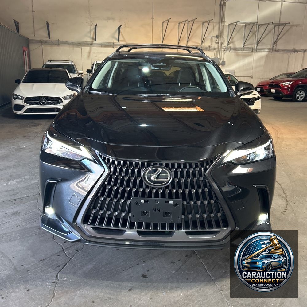 2024 Lexus NX 350h Base